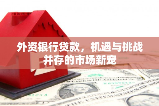 淡水外资银行贷款，机遇与挑战并存的市场新宠