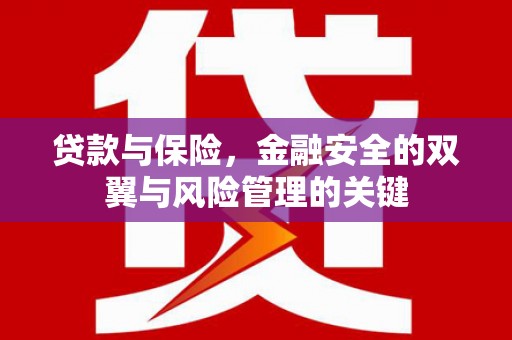 淡水贷款与保险，金融安全的双翼与风险管理的关键