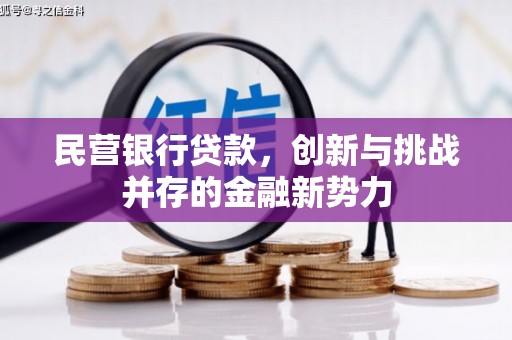 淡水民营银行贷款，创新与挑战并存的金融新势力