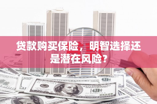淡水贷款购买保险，明智选择还是潜在风险？