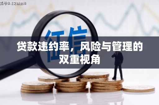 淡水贷款违约率，风险与管理的双重视角