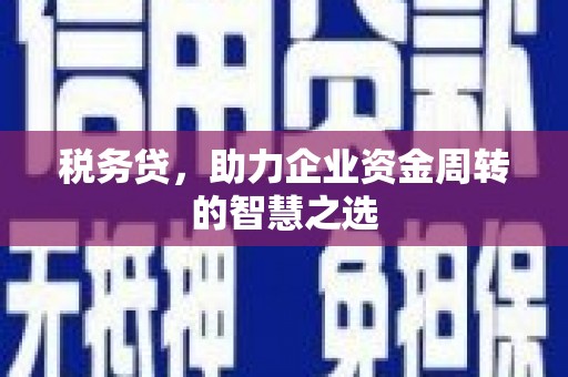 淡水税务贷，助力企业资金周转的智慧之选