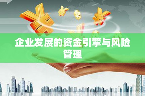 淡水企业发展的资金引擎与风险管理