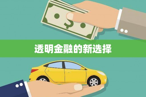 淡水透明金融的新选择