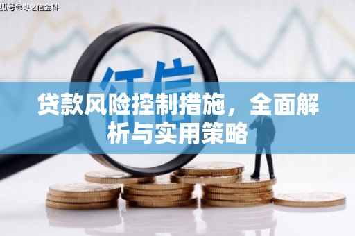 淡水贷款风险控制措施，全面解析与实用策略