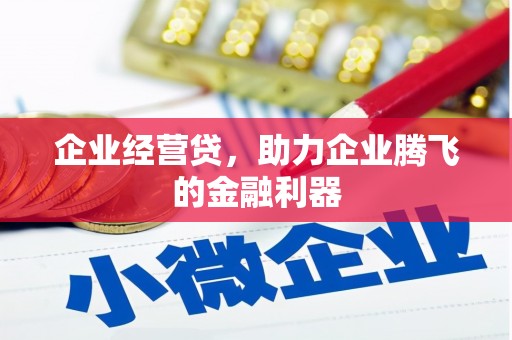 淡水企业经营贷，助力企业腾飞的金融利器