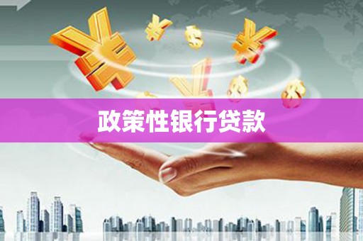 淡水政策性银行贷款