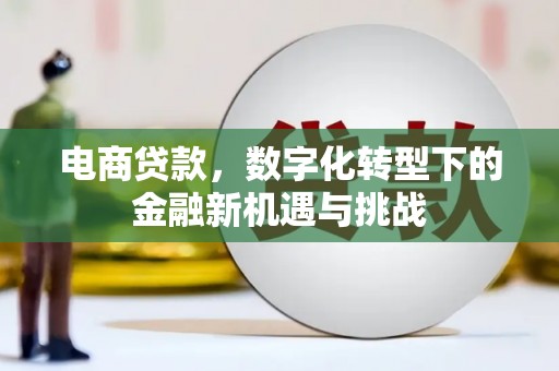 淡水电商贷款，数字化转型下的金融新机遇与挑战