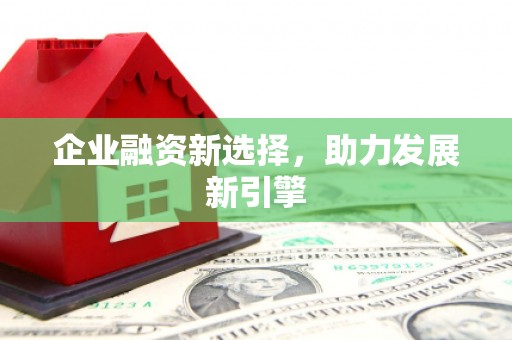 淡水企业融资新选择，助力发展新引擎