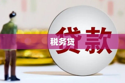 淡水税务贷