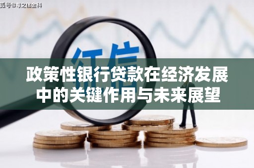 淡水政策性银行贷款在经济发展中的关键作用与未来展望