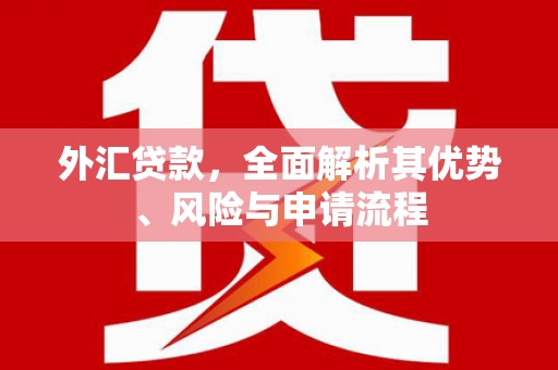 淡水外汇贷款，全面解析其优势、风险与申请流程