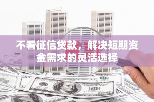 淡水不看征信贷款，解决短期资金需求的灵活选择