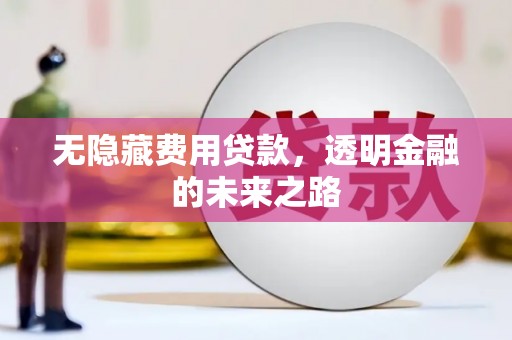 淡水无隐藏费用贷款，透明金融的未来之路