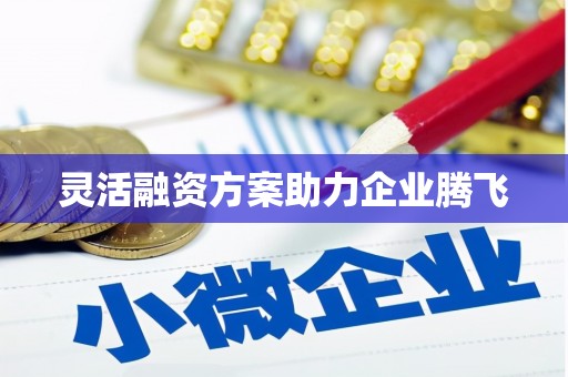淡水灵活融资方案助力企业腾飞