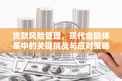 淡水贷款风险管理，现代金融体系中的关键挑战与应对策略