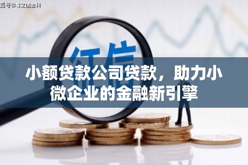 淡水小额贷款公司贷款，助力小微企业的金融新引擎