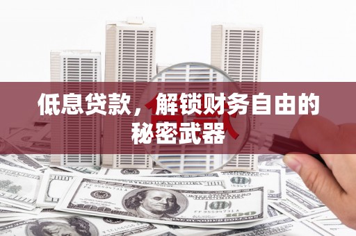 淡水低息贷款，解锁财务自由的秘密武器