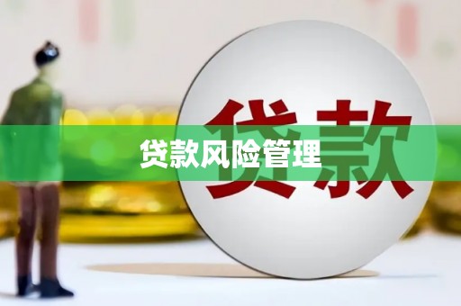 淡水贷款风险管理