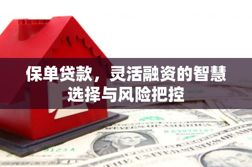 淡水保单贷款，灵活融资的智慧选择与风险把控