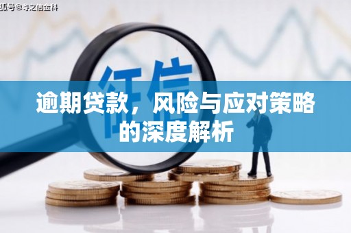 淡水逾期贷款，风险与应对策略的深度解析