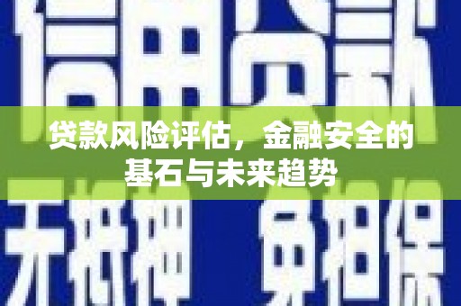 淡水贷款风险评估，金融安全的基石与未来趋势
