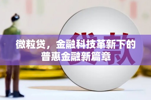 淡水微粒贷，金融科技革新下的普惠金融新篇章