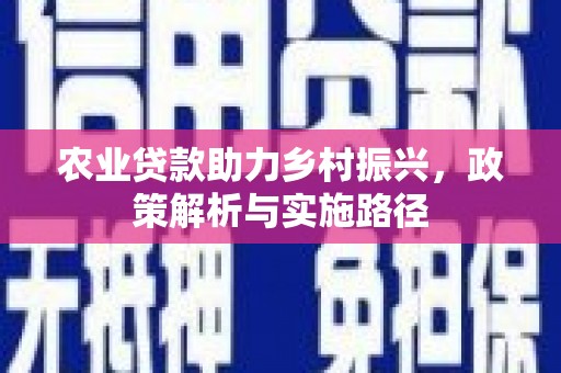 淡水农业贷款助力乡村振兴，政策解析与实施路径
