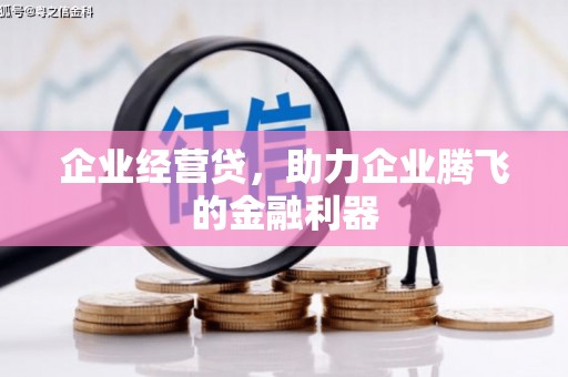 淡水企业经营贷，助力企业腾飞的金融利器