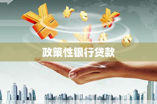 淡水政策性银行贷款