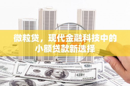 淡水微粒贷，现代金融科技中的小额贷款新选择