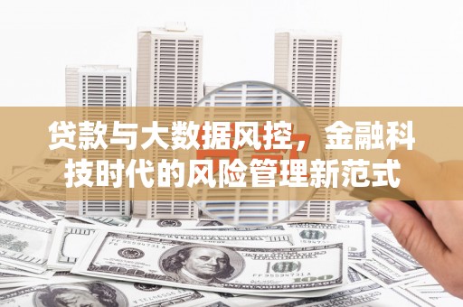 淡水贷款与大数据风控，金融科技时代的风险管理新范式