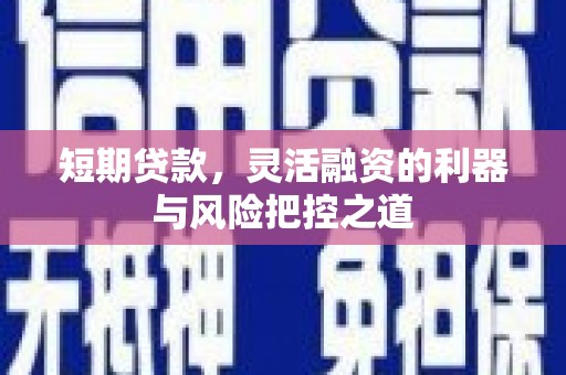淡水短期贷款，灵活融资的利器与风险把控之道