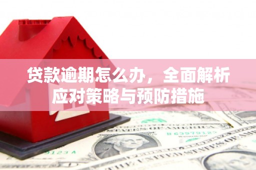 淡水贷款逾期怎么办，全面解析应对策略与预防措施