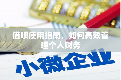 淡水借呗使用指南，如何高效管理个人财务