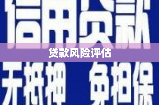 淡水贷款风险评估