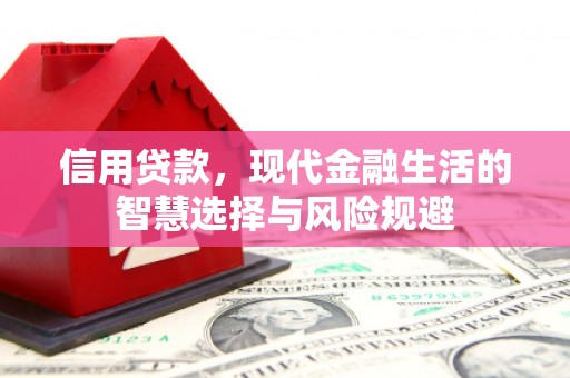 淡水信用贷款，现代金融生活的智慧选择与风险规避