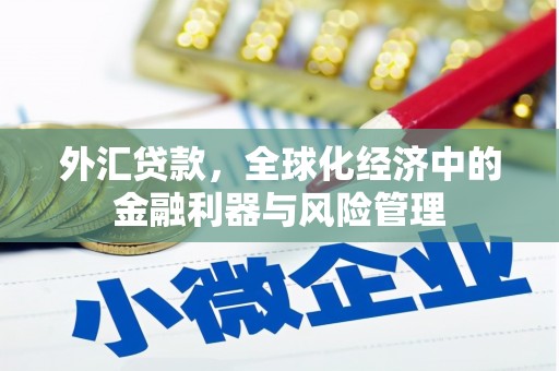 淡水外汇贷款，全球化经济中的金融利器与风险管理