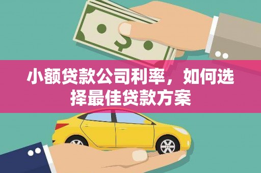 淡水小额贷款公司利率，如何选择最佳贷款方案