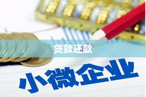 淡水贷款还款