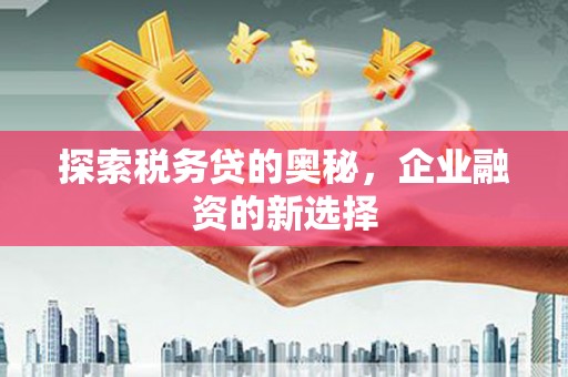 淡水探索税务贷的奥秘，企业融资的新选择