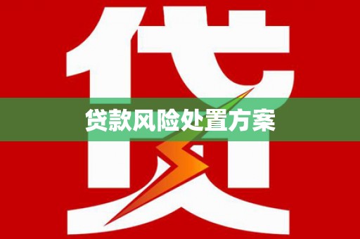 淡水贷款风险处置方案