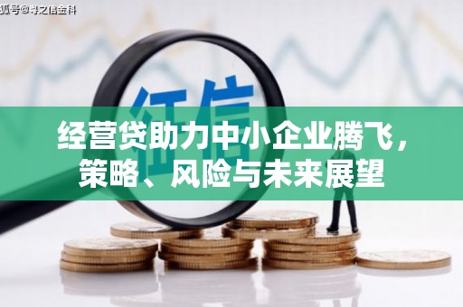 淡水经营贷助力中小企业腾飞，策略、风险与未来展望