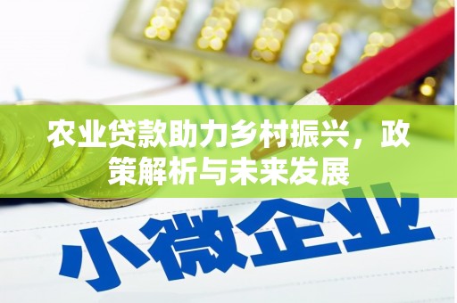淡水农业贷款助力乡村振兴，政策解析与未来发展