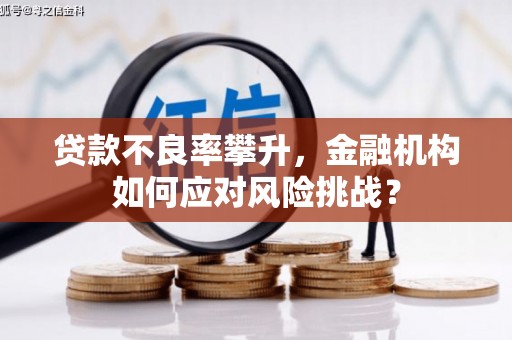 淡水贷款不良率攀升，金融机构如何应对风险挑战？