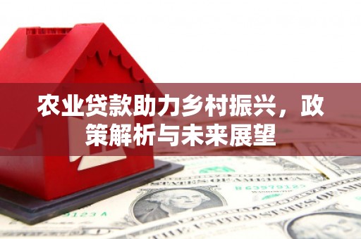 淡水农业贷款助力乡村振兴，政策解析与未来展望