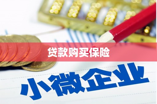 淡水贷款购买保险