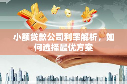淡水小额贷款公司利率解析，如何选择最优方案