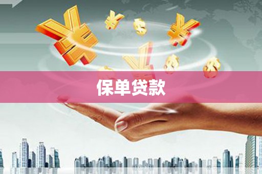 淡水保单贷款