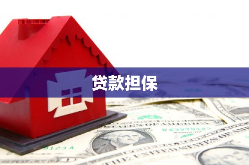 淡水贷款担保